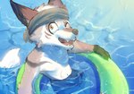 anthro clothing fur inflatable inner_tube male solo swim_ring swimming_pool swimming_trunks swimwear stampmats anothereidos_of_dragon_vein_r amorey canid canine fennec_fox fox japanese_kobold mammal true_fox hi_res