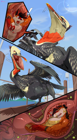 abdominal_bulge after_vore ambiguous_gender anthro anthro_prey beak belly blue_eyes boat bodily_fluids brown_hair churn chyme digestion digestion_noises digestive_juice digestive_tract duo exclamation_point eyes_closed fatal_vore feathers feet feral feral_pred flapping flapping_wings fur grey_feather gullet hair internal male male/ambiguous melting melty_digestion membrane_(anatomy) neck_bulge open_beak open_mouth oral_vore orange_body orange_feathers orange_fur organs pier predator/prey red_body red_fur rumbling_stomach saliva sea size_difference soft_vore squirming stomach stomach_acid swallowed swallowed_alive swallowing tan_body tan_feathers toes tongue uncaring_pred unwilling_prey vehicle vore water watercraft webbed_feet white_body white_fur willing_pred wings yellow_eyes seonmi ferox_(feroxdoon) avian bird canid canine fox mammal pelecaniform pelican red_fox true_fox 2026 absurd_res comic hi_res nonbinary_(lore)