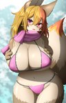 anthro big_breasts bikini blush breasts camel_toe clothed clothing female female_anthro fur hair kemono looking_at_viewer solo swimwear two-piece_swimsuit faroula canid canine fox mammal hi_res