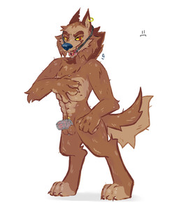 anthro ball_gag balls bdsm bodily_fluids bondage bound chastity_cage chastity_cage_only chastity_device chastity_device_only dripping ear_piercing ear_ring edging fur gag genital_fluids genitals leaking_precum lock looking_at_viewer male muscular muscular_anthro muscular_male nude nude_male orange_body orange_fur padlock penis piercing precum precum_drip ring_piercing smile smiling_at_viewer solo standing wearing_chastity_cage wearing_chastity_device otstoinik skurv_the_coyote_(indigo_park) canid canine canis coyote mammal absurd_res hi_res