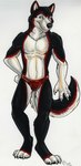 4_fingers 4_toes anthro athletic athletic_anthro athletic_male black_body black_fur black_nose black_pawpads blue_eyes claws clothed clothing digitigrade feet finger_claws fingers fur glistening glistening_clothing glistening_underwear hand_on_hip looking_at_viewer male markings neck_tuft pawpads paws red_markings simple_background smile solo standing tail toe_claws toes tuft underwear underwear_only white_background white_body white_claws white_fur likeshine hiroshi_(rado) canid canine canis domestic_dog husky mammal nordic_sled_dog spitz hi_res