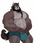 5_fingers abs anthro beard biceps black_hair bulge clothed clothing facial_hair fingers hair looking_at_viewer male muscular muscular_anthro muscular_male nipples pecs scar simple_background smile solo teeth topless underwear vein white_background vetrowolf canid canine canis mammal wolf 2018 absurd_res hi_res