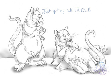 balls bandage claws dialogue duo eunuch feral genitals male nullo reclining tail text curiodraco mammal murid murine rat rodent english_text greyscale monochrome sketch