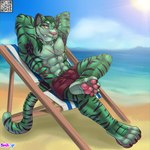 4_toes abdominal_scar abs anthro armpit_tuft beach beach_chair black_claws black_stripes blurred_background bottomwear bulge cheek_tuft chest_scar chest_tuft chromatic_aberration claws clothed clothing day detailed_bulge digitigrade facial_tuft feet foot_on_knee fur green_body green_fur green_hair hair hands_behind_head looking_at_viewer male muscular muscular_anthro muscular_male outside pawpads paws pecs pink_nose pink_pawpads pubes qr_code reclining relaxing scar sea shorts shorts_only sitting sky solo stripes sun tail teeth toe_claws toes toothy_grin topless tuft water yellow_eyes bashbl-ux tsumi_(tsuminotora) felid mammal pantherine tiger 1:1 hi_res shaded signature soft_shading