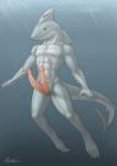 2_penises abs anthro athletic biceps erection genitals green_eyes male multi_genitalia multi_penis muscular muscular_anthro nude pecs penile_spines penis pink_penis solo tail tapering_penis vein water dreiker dreiker_(character) fish marine shark 2014 digital_media_(artwork)