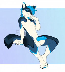 animal_genitalia anthro balls barefoot blue_body blue_eyes blue_fur blue_penis feet fur furgonomic_piercing furgonomics genital_piercing genitals knot knotted_penis male penis piercing ring_piercing sheath sheath_piercing sitting smile smiling_at_viewer solo spread_legs spreading tail white_body white_fur sunliine canid canine mammal hi_res