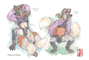2_tails animal_genitalia butt claws clothing crouching dialogue genitals green_eyes hair hoodie knot_in_sheath lipstick lying makeup male meme_outfit multi_tail pawpads pink_pawpads ponytail presenting presenting_hindquarters sheath solo speedo swimwear tail text topwear fennec_(artist) meme_clothing paggi_outfit fennec_(character) canid canine cross_fox fox mammal red_fox true_fox werecanid werecanine werecreature werefox english_text hi_res meme painting_(artwork) watercolor_(artwork)