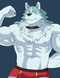 abs anthro armpit_hair barazoku biceps body_hair bottomwear briefs chest_tuft clothing flexing fur looking_at_viewer male muscular muscular_anthro muscular_male nipples pecs simple_background solo tuft underwear naikuma brand_new_animal studio_trigger shirou_ogami canid canine canis mammal wolf 2021 absurd_res hi_res