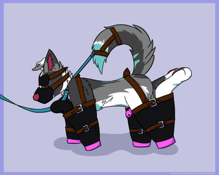 all_fours anthro arms_tied bdsm biped bitchsuit blindfold bondage bondage_gear bound chastity_cage chastity_device chicken-wing_tied collar frogtied leash legs_tied male muzzle_(object) muzzled pink_chastity_cage solo foxyroxford gordiethecollie border_collie canid canine canis collie domestic_dog herding_dog mammal pastoral_dog sheepdog hi_res
