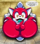 anthro anus balls big_butt butt butt_focus dialogue feet foreskin genitals humanoid_genitalia humanoid_penis male naive penis presenting presenting_anus presenting_hindquarters short_stack small_penis solo spread_legs spreading text tepigfan101 sega sonic_the_hedgehog_(series) sonic_unleashed chip_(sonic) canid canine mammal english_text hi_res