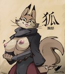 anthro areola biped bouncing_breasts breasts clothed clothing female flashing flashing_breasts looking_at_viewer nipple_dip nipples presenting presenting_breasts solo text tongue tongue_out whiskers zinnick dreamworks kung_fu_panda zhen_(kung_fu_panda) canid canine corsac_fox fox mammal true_fox 2023 artist_name chinese_text hi_res translated