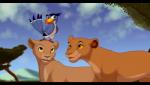 beak black_bars brown_eyes day detailed_background female feral fur green_eyes group male orange_body orange_fur outside smile tan_body tan_fur kitchiki disney the_lion_king sarabi_(the_lion_king) sarafina_(the_lion_king) zazu_(the_lion_king) avian bird bucerotiform felid hornbill lion mammal pantherine red-billed_hornbill