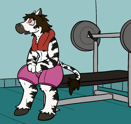 anthro barbell biped bodily_fluids bottomwear clothed clothing exercise hair hooves inside male open_mouth red_eyes shorts simple_background sitting smile solo stripes sweat topless towel towel_around_neck weights workout trout_(artist) equid equine mammal zebra 2016 aliasing digital_media_(artwork)