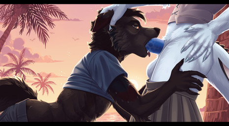 animal_genitalia anthro anthro_on_anthro anthro_penetrated anthro_penetrating anthro_penetrating_anthro balls black_body black_fur blue_clothing blue_penis bottomwear bottomwear_down canine_genitalia clothed clothing cloud duo erection fellatio fur genitals hair hand_on_head male male/male male_penetrated male_penetrating male_penetrating_male oral oral_penetration outside palm_tree pants pants_down partially_clothed penetration penile penis penis_in_mouth plant sex shirt side_view sky tail tongue topwear tree white_body white_fur seraphimka canid canine canis domestic_dog mammal absurd_res hi_res letterbox