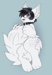 anthro black_nose collar cute_fangs eyewear fangs fur glasses hair looking_at_viewer male short_hair smile solo teeth white_body white_fur kanookies doggylaw canid canine canis domestic_dog mammal 2019 digital_media_(artwork) hi_res