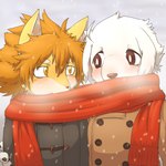 adolescent anthro blush clothed clothing coat duo eye_contact looking_at_another male scarf sharing_clothing sharing_scarf snow snowing topwear young young_male tsuchinoko_(artist) dogsled_club fuyuki_shiroda_(tsuchi_kemo) mamejirou_shibata_(misodonnburi201) bird_dog canid canine canis domestic_dog hunting_dog mammal retriever shiba_inu spitz 1:1 hi_res