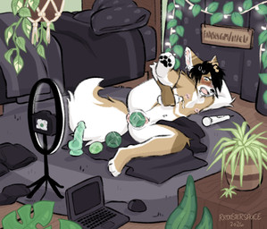 andromorph anthro bed bedroom big_clitoris blush bodily_fluids camera clitoris clitoris_piercing clothing computer crowning curtains dildo discarded_clothing ear_piercing ear_ring egg electronics facial_piercing female furniture genital_piercing genitals houseplant intersex laptop lip_piercing lube lying masturbation navel navel_piercing nipple_piercing nipples non_oviparous_oviposition nose_piercing object_birth object_in_pussy object_insertion object_penetration on_side oviposition pawpads piercing plant plant_pot potted_plant ring_light ring_piercing rug septum_piercing sex_toy solo string_lights sweat t_dick_penetrated towel vaginal vibrator vulva rroostersauce fern_(rroostersauce) canid canine fennec_fox fox mammal true_fox absurd_res hi_res trans_(lore) trans_man_(lore)