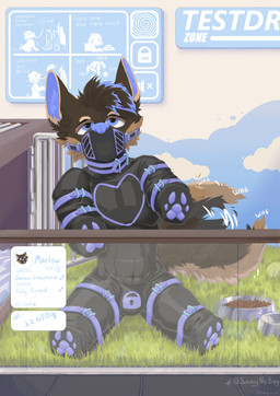 anthro bdsm bitchsuit bondage_gear chastity_bulge chastity_device latex lock lock_bulge lock_symbol locked male muzzle_(object) muzzled null_bulge pet_store petplay puppyplay roleplay solo store tail wearing_chastity_device sanynebeystoll marlow_wilde canid canine canis domestic_dog german_shepherd herding_dog mammal pastoral_dog absurd_res hi_res