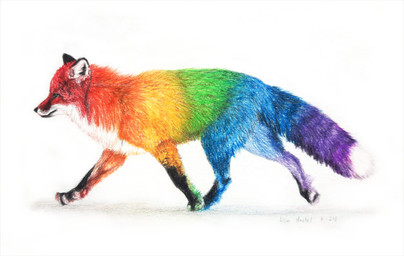 2024 ambiguous_gender asymmetrical_coloring beckykidus canid canine colored_pencil_(artwork) feral fox fur leg_markings lgbt_pride male_(lore) mammal markings multicolored_body multicolored_fur pride_colors quadruped rainbow_body rainbow_fur rainbow_pride_colors realistic signature simple_background six-stripe_rainbow_pride_colors socks_(marking) solo traditional_media_(artwork) walking whiskers white_background