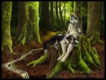 anthro black_border blue_eyes border claws creek detailed_background domestic_pet duo feral forest male nature nude outside petting plant quadruped sitting smile tail tree wood amber_hill canid canine canis domestic_dog husky mammal nordic_sled_dog spitz 2009 colored watermark