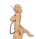 anthro bdsm big_breasts breasts collar female floppy_ears fur harness holding_leash holding_object leash leashed_collar nipple_piercing nipples offering_leash open_mouth petplay piercing roleplay simple_background solo tongue tongue_out yellow_body yellow_fur bfkitsu1550 unnamed_spaniel_(bfkitsu1550) bird_dog canid canine canis cocker_spaniel domestic_dog hunting_dog mammal spaniel hi_res