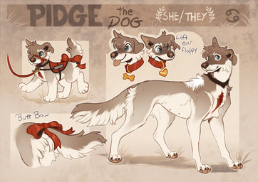 4_toes accessory bow_(feature) bow_accessory bow_ribbon brown_text cheek_tuft chest_tuft claws collar digitigrade facial_tuft feet female feral freckles furgonomics leash markings multi_nipple neck_markings neck_tuft nipples pawpads paws quadruped ribbons service_animal service_dog_harness simple_background smile solo standing tail tail_accessory tail_bow tail_ribbon text toe_claws toes tuft hoot_(artist) pidge_(hoot) canid canine canis domestic_dog mammal 2021 character_name digital_drawing_(artwork) digital_media_(artwork) english_text flat_colors handwritten_text model_sheet