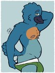 anthro border bulge clothing male solo underwear undressing white_border poorsal avian bird bluebird oscine passerine thrush_(bird) 3:4 hi_res