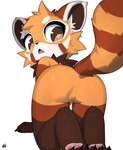 all_fours anthro butt chibi claws cute_fangs fangs featureless_crotch finger_claws looking_at_viewer looking_back looking_back_at_viewer male nude open_mouth simple_background solo teeth toe_claws white_background phiny ailurid mammal red_panda absurd_res hi_res