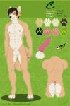 animal_genitalia animal_penis anthro balls butt canine_genitalia canine_penis erection genitals male muscular muscular_anthro muscular_male nude penis solo standing naughtyangel awesomec c_(character) canid canine canis mammal wolf hi_res model_sheet