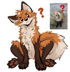 4_toes ambiguous_gender brown_body brown_fur claws feet feral fur head_tilt looking_at_viewer multicolored_body multicolored_fur orange_body orange_fur pawpads paws photo photo_reference question_mark simple_background solo tail toe_claws toes white_background white_body white_fur atkaso canid canine fox mammal 2025 digital_media_(artwork) full-length_portrait hi_res multiple_images photography_(artwork) portrait reaction_image reference_image