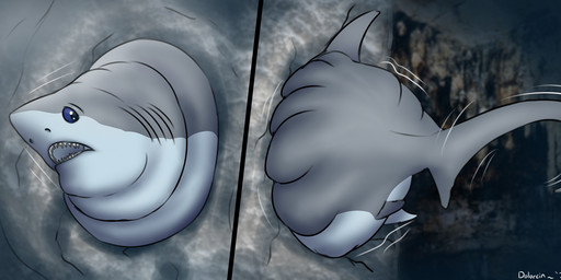 ambiguous_feral ambiguous_gender blue_eyes cave countershading dorsal_fin fat_rolls feral fin gills grey_body morbidly_obese morbidly_obese_ambiguous morbidly_obese_feral motion_lines multiple_angles obese obese_ambiguous obese_feral open_mouth overweight overweight_ambiguous overweight_feral pelvic_fins solo stuck tail tail_fin through_wall underwater water year dolorcin aquatic fish mackerel_shark shark thresher_shark 2025 dated