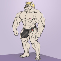 5_toes abs anthro barazoku biceps big_bulge big_muscles biped blonde_hair bulge claws clothed clothed_anthro clothed_male clothing deltoids feet fingers fur green_eyes grey_body grey_fur hair humanoid_feet humanoid_hands looking_forward male male_anthro muscular muscular_anthro muscular_male navel nipples pecs plantigrade quads simple_background solo standing three-quarter_view toe_claws toes topless topless_anthro topless_male underwear underwear_only unsigned oldshep jared_kuznetsov canid canine canis mammal wolf 1:1 2020 full-length_portrait portrait