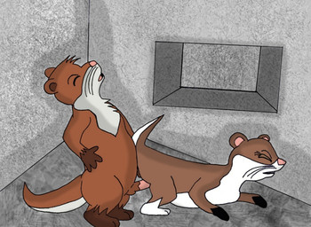 balls duo erection eyes_closed female feral from_behind_position genitals male male/female nude penis sex tail unknown_artist mammal mustelid otter source_request