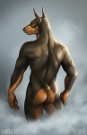 anthro biped black_body black_fur black_nose brown_body brown_fur butt claws fur looking_back male nude rear_view solo standing steam text rotarr canid canine canis dobermann domestic_dog mammal pinscher 2015 english_text portrait three-quarter_portrait