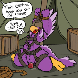 animal_genitalia anthro ball_gag bdsm beak blindfold blush bondage bound box container crate dialogue dildo dildo_sitting falconry_hood feathers featureless_chest female flat_chested gag gagged genitals harness hood hooded penetration punishment rope sex_toy solo speech_bubble submissive submissive_female tent text vaginal vaginal_penetration trout_(artist) avian bird 1:1 2017 digital_media_(artwork) english_text