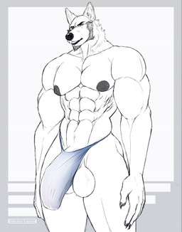 anthro balls beard bikini_thong bulge bulging_vein clothed clothing erection facial_hair facial_tuft genitals humanoid_genitalia humanoid_hands humanoid_penis looking_at_viewer male muscular muscular_anthro muscular_male nipples penis piercing saggy_balls simple_background skimpy solo swimwear tuft vein veiny_penis depictionexpress alfonso_(depictionexpress) canid canine canis mammal wolf absurd_res digital_drawing_(artwork) digital_media_(artwork) hi_res sketch