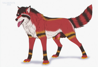 animal_genitalia aroused balls bodily_fluids demonstrating excitation feral fur genital_fluids genitals hair heterochromia male paws peaceful penis precum presentation red_body red_fur repose rest rising sheath solo tail valiberite akiratheraccoon canid canine fox hybrid mammal procyonid raccoon absurd_res hi_res sketch
