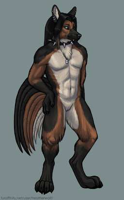 andromorph andromorph_anthro anthro black_body black_claws black_collar black_fur black_hair black_nose black_pawpads black_tail blue_background blue_eyes brown_body brown_fur brown_tail claws collar ear_piercing ear_ring front_view fur genitals glistening glistening_eyes hair hand_on_hip humanoid_genitalia humanoid_vulva intersex intersex_anthro jewelry looking_at_viewer mouth_closed navel necklace nude pawpads piercing ring_piercing simple_background solo spiked_collar spikes standing tail text vulva whiskers white_body white_fur white_tail heatherwolf canid canine canis domestic_dog german_shepherd herding_dog mammal pastoral_dog full-length_portrait hi_res portrait url