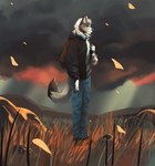 anthro backpack blinking cloud exploring field grass looking_at_viewer male plant solo storm tall_grass wind 6everage dante_kinkade canid canine canis mammal wolf animated hi_res short_playtime