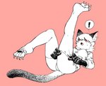 4_toes 5_fingers anthro bodily_fluids breasts clothing dressing ear_piercing ear_ring exclamation_point feet female fingers hair kemono medium_breasts open_mouth piercing pink_background ring_piercing shirt simple_background snout solo surprise sweat toes tongue topwear whiskers pororikin felid feline mammal 2018 hi_res