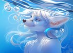 anthro blue_eyes bubble facial_markings female fur hair head_markings highlights_(coloring) long_hair markings nude snout snout_markings solo surface underwater water white_body white_fur white_hair kitsudai fio_(wipfenfels) arctic_fox canid canine fox mammal true_fox