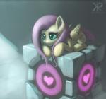 2013 <3 blue_eyes cutie_mark equine female feral fluttershy_(mlp) friendship_is_magic hair horse lying my_little_pony pegasus pink_hair pony portal_(series) raikoh-illust smile solo valve weighted_companion_cube wings
Rating: Safe
Score: 12
User: 2DUK
Date: October 10, 2013
