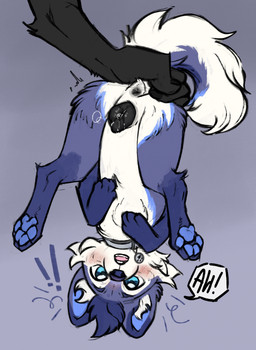 ambiguous_anthro ambiguous_gender animal_genitalia animal_vulva anthro anthro_on_feral anus bestiality bodily_fluids canine_genitalia canine_vulva collar collar_tag darkened_anus darkened_genitalia darkened_vulva disembodied_hand duo emanata exclamation_point feet female female/ambiguous female_feral female_focus feral feral_focus genital_fluids genitals lifted lifted_by_tail onomatopoeia pawpads soles solo_focus sound_effects speech_bubble tail tail_grab text upside_down vaginal_fluids vaginal_fluids_on_vulva vulva prince-vulpine ambiguous_species canid canine canis domestic_dog husky mammal nordic_sled_dog spitz colored digital_media_(artwork) hi_res