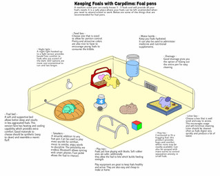 ambiguous_feral ambiguous_gender bed bottle container description doll drain featureless_crotch feces feral fur furniture group kibble litter_box neonate pet_food purple_body purple_fur purple_tail speaker tail teal_body teal_fur teal_tail text toy_block trio water yellow_body yellow_fur yellow_tail young young_ambiguous young_feral carpdime fluffy_pony fluffy_pony_(species) mammal digital_media_(artwork) english_text