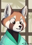 anthro asian_clothing clothing east_asian_clothing japanese_clothing male solo not_a_lil_pesto pepper_willow ailurid mammal red_panda hi_res