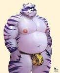 anthro bulge clothed clothing jockstrap jockstrap_only male musclegut muscular nipple_piercing nipples piercing pose simple_background solo topless underwear underwear_only bin_(artist) rorschach_(bandit) felid hybrid mammal pantherine procyonid raccoon tiger hi_res