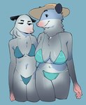 age_difference anthro big_breasts bikini biped black_ears black_eyebrows black_eyes blue_background blue_bikini blue_clothing blue_swimwear breast_envy breast_size_difference breasts closed_smile clothed clothed_anthro clothed_female clothing curved_eyebrows dark_ears dark_eyebrows duo ear_piercing ear_ring ears_aside empty_eyes eyebrows eyelashes female female/female fingers front_view fur fur_tuft grey_body grey_fur hat head_turned headgear headwear jewelry legs_together light_body light_fur looking_at_another mature_anthro mature_female medium_breasts monotone_background mouth_closed multicolored_body multicolored_fur narrowed_eyes navel neck_tuft necklace older_female piercing pink_hands ring_piercing shadow simple_background smile smiling_at_another snout standing sun_hat swimwear tan_clothing tan_hat tan_headwear thick_thighs tuft two-piece_swimsuit white_body white_fur younger_female not_enough_milk mother_daughter_boob_envy_(meme) american_opossum mammal marsupial virginia_opossum 2024 digital_drawing_(artwork) digital_media_(artwork) hi_res meme daughter_(lore) mother_(lore) mother_and_child_(lore) mother_and_daughter_(lore) parent_(lore) parent_and_child_(lore) parent_and_daughter_(lore)