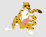 anthro chips_(food) clothing erection eyewear food footwear footwear_only fur genitals male mascot mostly_nude orange_body orange_fur penis shoes shoes_only solo sunglasses whiskers white_body white_fur lewd_latte cheetos chester_cheetah cheetah felid feline mammal hi_res sketch