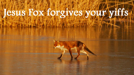 ambiguous_gender black_body black_fur black_nose digitigrade feet feral fur hindpaw inner_ear_fluff lake leg_markings long_mouth markings orange_body orange_fur outside paws plant real reflection side_view snout socks_(marking) solo sunset text tuft walking_on_water water white_body white_fur unknown_artist canid canine fox mammal red_fox true_fox english_text grandfathered_content photography_(artwork)
