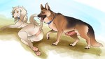 anthro anthro_on_feral anus balls bestiality bodily_fluids bow_ribbon brown_background brown_body brown_fur brown_hair canine_vulva duo erection female feral fur genital_fluids genitals grey_body grey_fur hair humanoid_genitalia humanoid_genitalia_on_feral humanoid_penis humanoid_penis_on_feral male male/female pawpads penis precum simple_background tan_body tan_fur tongue tongue_out wanderlustdragon canid canine canis domestic_dog german_shepherd herding_dog hunting_dog mammal pastoral_dog saluki sighthound absurd_res hi_res